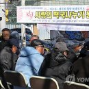 남대천버드나무쉼터 이미지