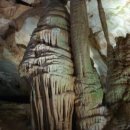 토속분식식당 이미지