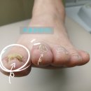 거북섬메디컬치과병원 이미지