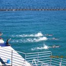 오션어드벤처 이미지