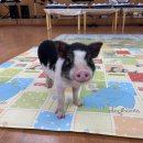 세정유치원 이미지