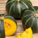 용진환경 이미지