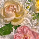 수연플라워 이미지