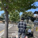 김포 애견호텔 애견유치원 꼬똥이네 | 김포 통진 대형견도 가능한 넓은 애견카페 애견유치원&amp;호텔 - 꼬똥이네🐾 (feat.애견바베큐장)