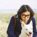 이상순 카카오 검색결과