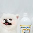 철이네점빵