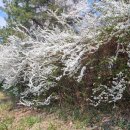 광려천 남로 이미지