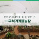 석기농장 이미지