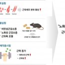 지초도