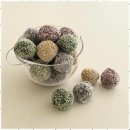 특별한 동물가게 이미지