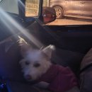 불향기(흥업점) 이미지