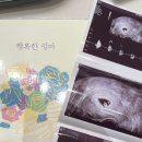 우후후라이프앤플라워 이미지