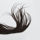 커트와 파마 이미지