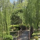 서구청소년수련관 강의실(대) | [이현공원] 대구 샤스타데이지 명소 🌼| 포토존 추천