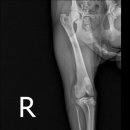 아띠동물병원 이미지