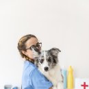 마이펫동물병원 이미지