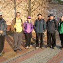 경남 창원 천주산 산행 및 진해 관광(100407) 이미지