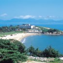 변산반도젓갈 이미지