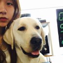 (주)서오 네이버블로그