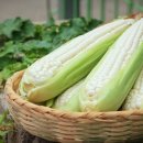 김삿갓면-12 이미지