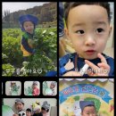 국.공립 언양어린이집