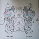 나들이하기 좋은 장소 소개합니다 - 강천산군립공원(SNPE 바른자세 척추교정운동편) 이미지