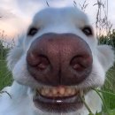 뷰티갤러리 이미지