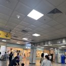 5月 끝 오라 달콤한 종강아