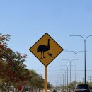 씨유발안행운로드점 | [서호주 로드트립] 2025년의 마지막을 최고의 스노클투어로! @8일차