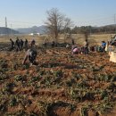 청보리축산 이미지