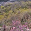 노을빛 풍경 이미지