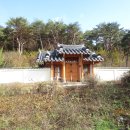 강진-19 이미지