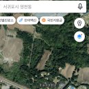 제주손칼국수냉면전문점 이미지