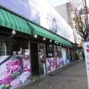 참치다컴 이미지