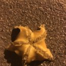 나성모텔 이미지