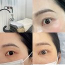 래쉬아트살롱 | [대전/신탄진] 신탄진속눈썹펌 디테일한 맞춤 상담과 꼼꼼한 시술 희샵 신탄점 방문 후기