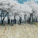 관설 경로당 이미지