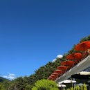 목우촌 참피자 무주점 | 무주 날망 카페 솔직 후기, 계곡 물놀이까지 가능 :)