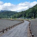 빛과갯벌-2 이미지