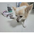 에스케이덴탈 이미지