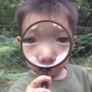 원패스 합격 네일아트국가고시 시험 생생후기