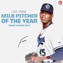 루이스(Luis) 이미지