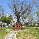 작은나무숲 이미지