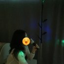 하트노래방 | 홍대,합정 단체모임 장소 추천 | 24시간 노래방 있는 공간 오늘