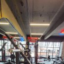 팀터틀랫 동래점 | 부산 동래 헬스장 추천! 팀터틀랫부산동래점 방문후기!