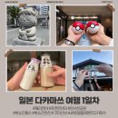 메리 린 | [일본] 다카마쓰 여행 1일차 - 메리켄야, 마루가메마치그린 상점가, 포켓몬센터, 린쓰린공원, 붓쇼잔...