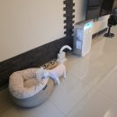 메르벨르B 이미지