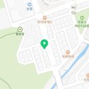 대전고양이분양 비비냥 이미지