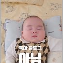 [단독보도 영어로? 미드에 매일 나오는 단독·비밀 폭로 영어 회화 표현 30가지 정리 (Exclusive 뜻)]