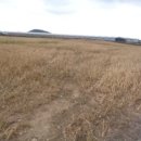 보성리사무소 이미지